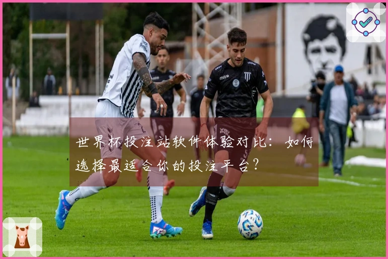 世界杯投注站软件体验对比：如何选择最适合你的投注平台？